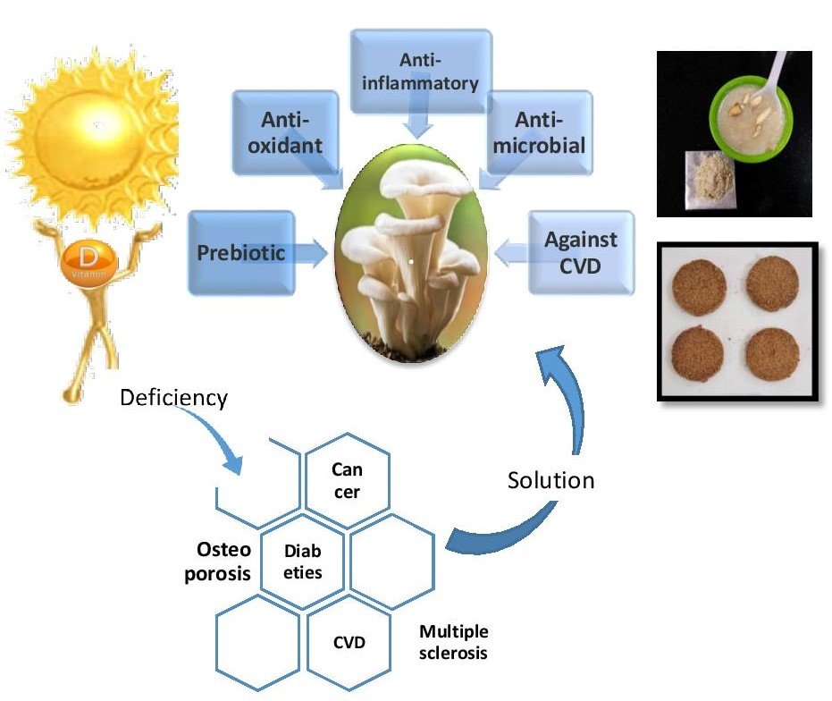 food research international graphical abstract